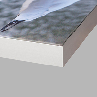 Allvisual® akoestische afbeelding